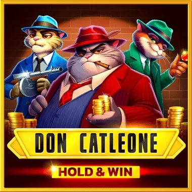 Hold and Win slot